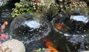 森森魚池噴泉泵魚池多功能過濾器魚池噴泉裝飾魚池循環(huán)假山噴泉 CUF 5800(55瓦適合1 5立方) 曬單實(shí)拍圖