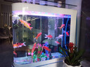 華康子彈頭魚(yú)缸小型家用一體2025新款免換水懶人玄關(guān)屏風(fēng)隔斷水族箱 A款銀拉絲 長(cháng)100*寬40*高138cm 曬單實(shí)拍圖