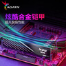 威剛(ADATA) XPG威龍D300 DDR5內(nèi)存條臺式機馬甲條內(nèi)存游戲超頻支持EXPO/海力士A代顆粒適配9800X3D 【C32】16G*2 6400白 A-die 曬單實拍圖