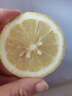 四川安岳黃檸檬新鮮水果2025當季整箱精選香水甜青檸檬小金桔特 1斤(凈重400g) 中果(80-100g) 曬單實(shí)拍圖