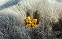周大生黃金吊墜足金項(xiàng)鏈掛墜金法護(hù)金首飾情侶款紀(jì)念父親節(jié)禮物 金剛杵足金吊墜-【不含鏈】 3.41g 曬單實(shí)拍圖