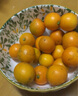 肅匠陶瓷盤子家用深盤子釉下彩餐具網(wǎng)紅盤子碗微波爐適用 四季繁花4.5英寸碗 4頭 曬單實(shí)拍圖