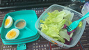 sistema進(jìn)口三明治盒子飯盒水果保鮮盒零食盒點(diǎn)心便當(dāng)盒學(xué)生兒童春游餐盒 點(diǎn)心餐盒400ml淺色/顏色隨機(jī) 曬單實(shí)拍圖
