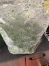 薺菜野菜新鮮整棵冷凍薺薺菜包餛飩餡速凍野生薺菜餡商用順豐 2500g 曬單實拍圖
