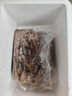 愷蒂鮮魷魚須新鮮燒烤二本足大號批發(fā)整箱冷凍鐵板魷魚串 5斤(凈重)  5包 魷魚須 曬單實拍圖