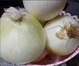 新疆特產(chǎn)美食白皮牙子洋蔥芽子新鮮云南小水果蔬菜甜味可生吃不辣 新疆白皮牙子3斤 曬單實拍圖