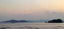 正宗漳州水仙花種球陽臺盆栽土培水養(yǎng)水仙大球室內(nèi)外冬季耐寒花卉 水仙種球【3個(gè)】+營養(yǎng)液+陶瓷盆 曬單實(shí)拍圖