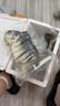 印禾年廣東特產(chǎn)金鯧魚(yú)干 陽(yáng)江海鮮干貨深海鯧魚(yú)自曬咸魚(yú)淡曬昌魚(yú)干 1條裝【4兩/條】共約200g 曬單實(shí)拍圖