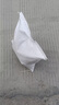 優(yōu)質(zhì)湖南稗子小米草種子耐旱耐水淹四季養(yǎng)殖魚蝦蟹魚塘專用牧草籽 雀葉稗小米草種子 一斤凈籽【100%正品精選】 曬單實(shí)拍圖