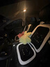 博紫適用汽車坐墊秋冬季毛絨四季通用可愛(ài)女神座椅半包保暖冬天車座套 [冬季長(zhǎng)毛絨款]簡(jiǎn)約熊坐墊(7件套) 曬單實(shí)拍圖