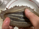 薩哈林俄羅斯野生即食海參 原料進(jìn)口六排刺高參齡無添加高品質(zhì) 2斤16只 禮盒裝 曬單實(shí)拍圖