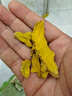 墨源無患子中藥材天然無患子果實(shí)果皮殼原籽圓皂角肥皂果洗手頭可打粉 何首烏500克【收藏下單+布袋10個(gè)】 曬單實(shí)拍圖