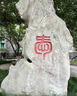 雙喜 兼毫毛筆大楷套裝 善璉湖筆（單支）初學(xué)者書(shū)法國畫(huà)B22-24精制兼毫 大楷（單支） 曬單實(shí)拍圖