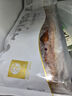 首鮮道精品日式鰻魚(yú)蒲燒 蒲燒鰻魚(yú) 烤鰻魚(yú)飯食材 真活鰻烤制加熱即食 鰻魚(yú)蒲燒 500g裝（精選款） 曬單實(shí)拍圖