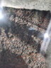 皓寵水草泥魚(yú)缸造景底砂沙免洗不渾水草缸陶粒亞馬遜基肥營(yíng)養土泥套餐 水草種植泥10斤凈水版 曬單實(shí)拍圖