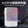 ?？低暎℉IKVISION）室內(nèi)壁掛音響掛墻會(huì)議室音箱背景音樂車站車間擴(kuò)聲公共廣播音響店鋪商場(chǎng)學(xué)校教室高低音喇叭揚(yáng)聲器 曬單實(shí)拍圖