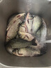 新款正品拉絲粉野釣競技拉大球小麥蛋白魚餌料專用爆護(hù)袋裝高純度 魚浪拉絲粉30g【一包】 曬單實(shí)拍圖