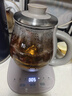 小熊（Bear）煮茶器 煮茶壺 養生壺 煮茶水壺蒸 燒水壺 電熱水壺 汽玻璃壺噴淋式蒸茶器沖泡茶煮花茶黑茶 【噴淋式煮茶器】ZCQ-A08H2 曬單實(shí)拍圖