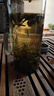 龍井茶2024年特新茶級(jí)明前茶葉春茶自己喝綠茶杭州碎茶罐裝泡水泡茶 【大罐2罐】龍井茶500g 曬單實(shí)拍圖