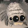 Spider毛絨玩具Lucas公仔可愛(ài)呆萌小蜘蛛盧卡斯娃娃搞怪禮物多毛少女心送小朋友女生閨蜜生日禮物 Lucas小蜘蛛 長(cháng)毛絨淺色 長(cháng)度16cm 曬單實(shí)拍圖
