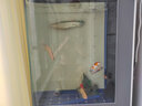 美諾超白魚缸客廳家用中型生態(tài)現(xiàn)代造景金龍魚缸落地屏風(fēng)隔斷柜水族箱 拉絲銀【排水+顯示屏】 80*35*130 曬單實(shí)拍圖