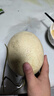 卉雙山東冰淇淋玉菇甜瓜9斤小香瓜綠肉當(dāng)季新鮮水果軟糯現(xiàn)摘蜜瓜白瓜 玉菇甜瓜  帶箱8.5-9斤 曬單實(shí)拍圖