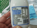 蘭格格草原活菌酸奶210g*14瓶乳酸菌低溫發(fā)酵正品酸牛奶年貨源頭直發(fā) 草原活菌酸奶210g*14瓶 曬單實拍圖
