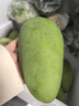 澤鮮達廣西百色桂七芒果當季新鮮水果整箱青皮芒貴七芒果精品大果 精選5斤裝 曬單實(shí)拍圖
