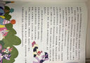【正版授權】迪士尼100周年枕邊故事書(shū)大開(kāi)本精裝 閃電麥昆賽車(chē)總動(dòng)員兒童美繪本漫畫(huà)圖畫(huà)書(shū)0-3-6歲幼兒園寶寶睡前童話(huà)故事非注音版迪士尼公主電影動(dòng)畫(huà)片小馬寶莉冰雪奇緣白雪公主瘋狂動(dòng)物城愛(ài)麗絲夢(mèng)游仙境  曬單實(shí)拍圖