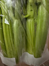 【立農(nóng)維康水果西芹】新鮮榨汁無害蔬菜綠色生吃水果芹菜4斤包郵 西芹4斤 曬單實拍圖