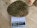 麓鵲紅肉榴蓮冷凍生鮮水果D101 3.0-3.5斤【力薦4房果】 曬單實(shí)拍圖