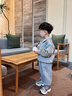 齊齊熊（ciciibear）【2025春裝新品】寶寶春秋款套裝男童運(yùn)動(dòng)衛(wèi)衣兒童洋氣上衣 花灰色 100 曬單實(shí)拍圖
