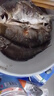 漁水依微山湖原生態(tài)鮮活大鯽魚淡水新鮮小土鯽魚鯽瓜子燉湯孕婦滋補(bǔ)河鯽 小號鯽魚（每斤6-8條） 1斤 曬單實(shí)拍圖