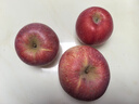 正宗山東煙臺(tái)紅富士蘋果脆新鮮水果冰糖心棲霞條紋蘋果一整箱 煙臺(tái)蘋果 大果【帶箱9.6-10斤】 曬單實(shí)拍圖