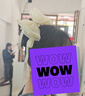 Royal sasa皇家莎莎超仙蝴蝶結(jié)飄帶發(fā)夾仿珍珠網(wǎng)紗發(fā)飾氣質(zhì)后腦勺夾子頭飾 曬單實(shí)拍圖