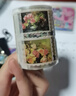 盼雅往來(lái)回憶燙金郵票膠帶模切復古花卉圖鑒手賬diy裝飾素材封口貼紙 花風(fēng)春霧 5.5cm*2m 5.5CM*2M 曬單實(shí)拍圖