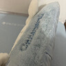 米囹熱水袋充電防爆暖寶寶暖水袋可愛毛絨女生暖手寶元旦禮品生日禮物 玉桂狗【智能防爆 】 熱水袋必須單獨放平充電 曬單實拍圖
