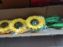 潤蕾仿真向日葵太陽花假花絹花干花客廳臥室落地?cái)[放花室內(nèi)裝飾花 大號(hào)3頭1.3米高 曬單實(shí)拍圖