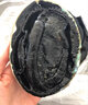 新西蘭進(jìn)口黑金鮑高檔海鮮水產(chǎn)鮮活冷凍超大鮑魚(yú)一頭鮑特大小鮑魚(yú) 1只/1斤 600-800g/只 曬單實(shí)拍圖