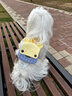 TOUCHDOG寵物胸背包中小型犬牽引繩胸背衣遛狗胸背帶防掙脫栓狗繩 狗狗胸背+胸背包+牽引繩 S碼【建議5-12斤】 曬單實拍圖
