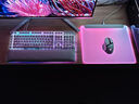 雷蛇（Razer）烈焰神蟲V2專業(yè)版RGB硬質(zhì)鼠標(biāo)墊 集成2.0 USB端口 烈焰神蟲V2專業(yè)版 白色 曬單實(shí)拍圖
