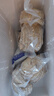 雜糧全麥花卷粗糧蕎麥饅頭純手工孕婦控糖無(wú)糖精主食早餐半成品 原味黑麥花卷10個(gè)【2袋】 每個(gè)100克【正常大小】原味無(wú)蔥 曬單實(shí)拍圖