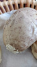 希森鮮汁土豆饅頭80克/個 山東手工老面大饅頭戧面早餐雜糧粗糧主食 鮮汁土豆饅頭80克*12個 曬單實拍圖