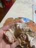 海鮮頌活凍琵琶蝦500g皮皮蝦九齒扇蝦蝦排生鮮蝦類蝦姑排海鮮水產(chǎn)瀨尿蝦 3-4只/ 500g(凈重) 曬單實拍圖