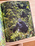 瀕危 我們和它們的未來 蒂姆弗拉克珍惜野生動物公益保護人與自然生態(tài)環(huán)境攝影集書籍  后浪正版 曬單實拍圖