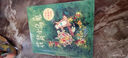 冰波珍藏童話(huà)·注音版——花背小烏龜  曬單實(shí)拍圖