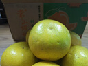 南步浙江常山胡柚 衢州特產(chǎn)藥柚小苦柚子微苦西柚黃心柚子新鮮水果 9.2斤 精選小果【單果70mm+】 曬單實(shí)拍圖