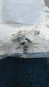 1N4007 10A10 1N5408 1N5819 1N4001 5822整流二極管級IN4007 FR207 2A 1000V直插(20個) 曬單實拍圖