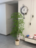 未歐南天竹仿真綠植盆栽高端輕奢室內(nèi)客廳裝飾擺件大型造景落地假花樹 180cm 4桿南天竹+米色花pp盆 曬單實(shí)拍圖