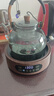 金鑲玉煮茶功夫茶具套裝 蒸煮兩用玻璃茶壺防水電陶爐家用圍爐煮茶套組 清楓木紋電陶爐煮茶套裝 曬單實(shí)拍圖